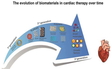  Węgielグラフェン:  Nowa Era w Biomateriałach?